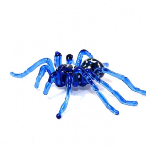 Blue Glass Tarantula Spider