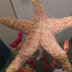 Handmade sea shell and coral windchime w/ Starfish top, 