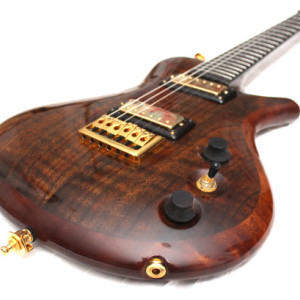 Anu Custom Electric Guitar Figured Walnut ANAN Hollow Body (Resonable offers accepted))