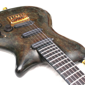 Maple Burl ANAN Custom Hollow Body  2015. (Reasonable offers accepted)