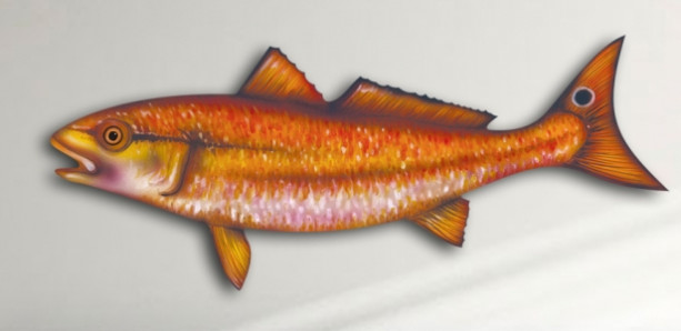 18" Redfish Salt Water Game Fish Replica, Wall Mount, Decor, Nautical Art, Gift