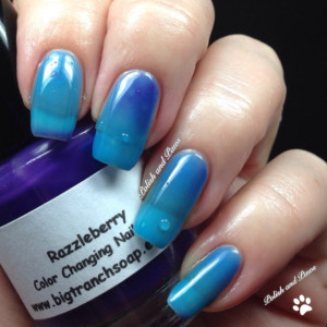 Ombre Color Changing Thermal Nail Polish - "Razzleberry" - Blue to Purple - Temperature Changing - 0.5 oz Full Sized Bottle