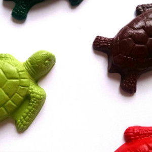 Sea turtle crayons set of 12
