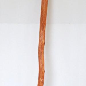 Hand Carved and Finished Straight Walking Stick