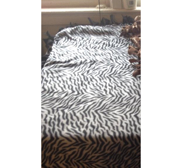 Plains Zebra Blanket